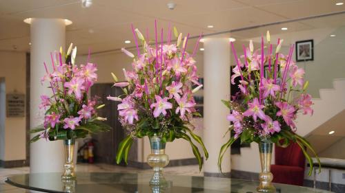 Connaught Place Hotel | Radisson Blu Marina Hotel Connaught Place