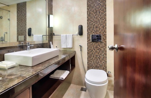 Sindhi Camp Hotel | Radisson Jaipur City Center