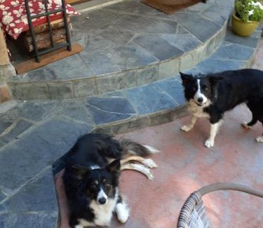 Central Saanich Bed & Breakfast | Rae Leigh Heights BnB