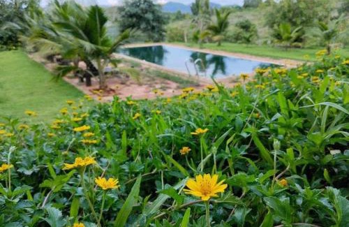 Mae Chan House | Rai Phuchat