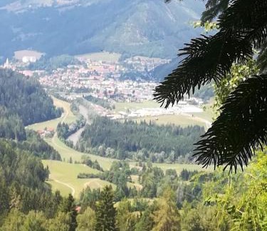 Laßnitz bei Murau Apartment | Rainerhof