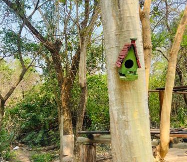 Aquidauana House | Rancho Recanto das Águas Camisão