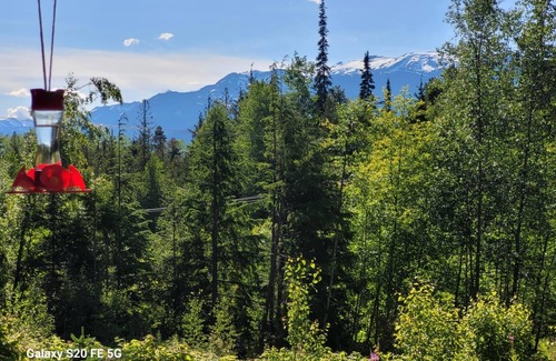 New Aiyansh House | Rara's secret nest