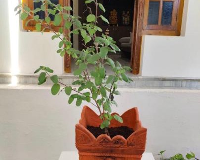 Tiruchendur Villa | Ravis ishwaryam villa