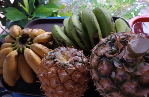 Antafondro Apartment | Ravoravo beach house Nosy Be-Atanfondro