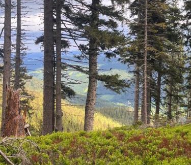 Prein an der Rax Villa | RaxChalet