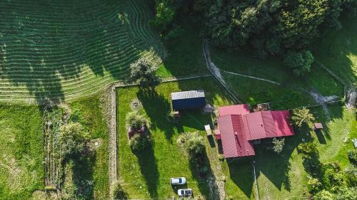 Trzciana House | Rdzawa five