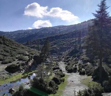 Ketama Apartment | REAL ketama