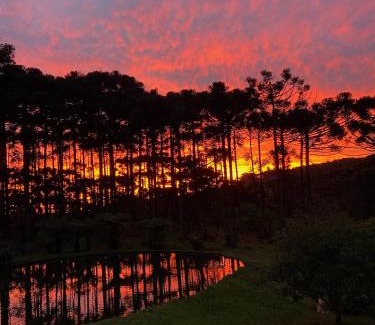 Gramado House | Recanto das Araucárias - Carazal, Gramado.