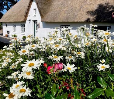 Augustenkoog House | Reetdachhaus, Sauna, E-Bikes, 6 Personen