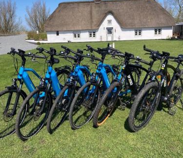 Augustenkoog House | Reetdachhaus, Sauna, E-Bikes, 6 Personen