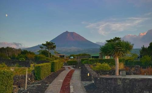 Sao Roque do Pico Apartment | Refúgio da Montanha