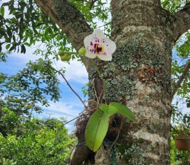 Chapada dos Guimaraes House | Refúgio junto a natureza