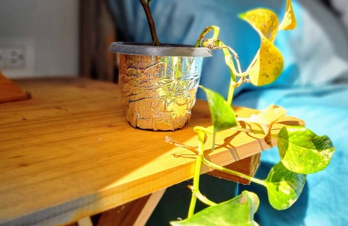 Campeche House | Relajante Villa Campirana entre la naturaleza