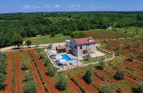 Stifanici Villa | Relax house surrounded by olives and vineyard