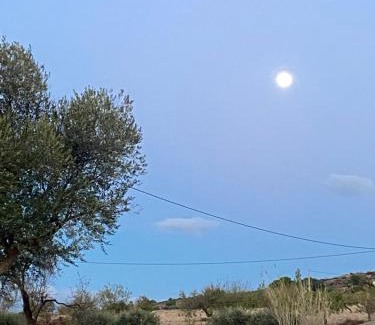 Huercal-Overa Apartment | Renbeck lets 1