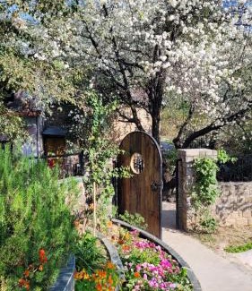 Dharamshala Bed & Breakfast | Rendezvous Resort Dharamshala