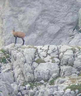 Kukes County House | Residence: Quku i Valbones