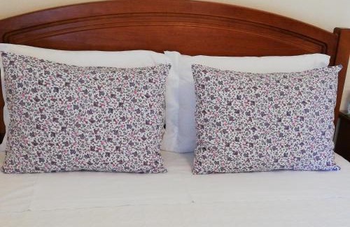 Sao Salvador House | Residencial Idalio