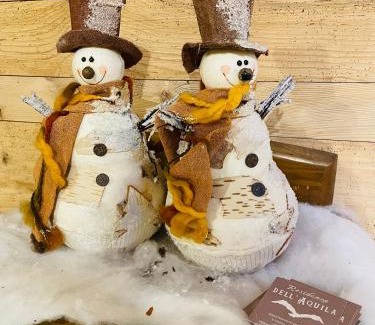 Vezza d'Oglio Apartment | Residenza dell'Aquila - appartamento