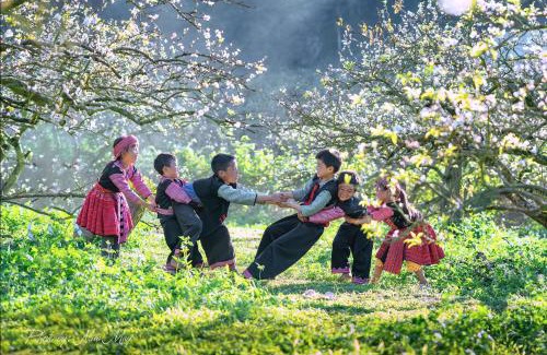 Moc Chau House | Retreat Home Bản Dọi Mộc Châu