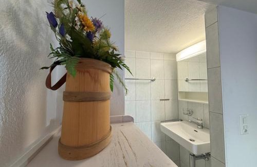 Schwanden Apartment | Revier beim Dorfbrunnen