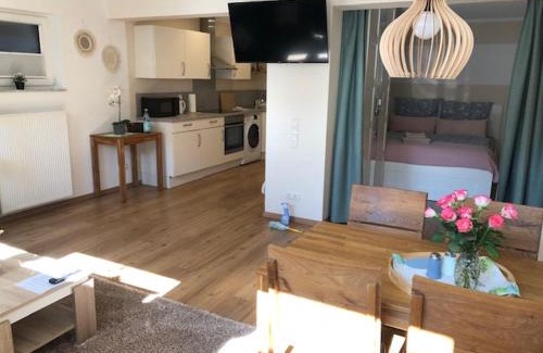 Oestrich-Winkel Apartment | Rheingau und Weltkulturerbe Mittelrheintal erleben - Ferienappartement in Winkel