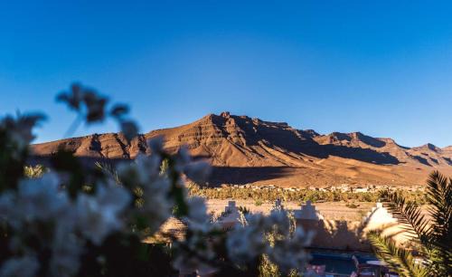 Foum Zguid Bed & Breakfast | Riad Hiba