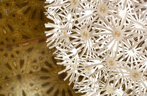 Meknes Medina House | Riad La Maison D'à Côté