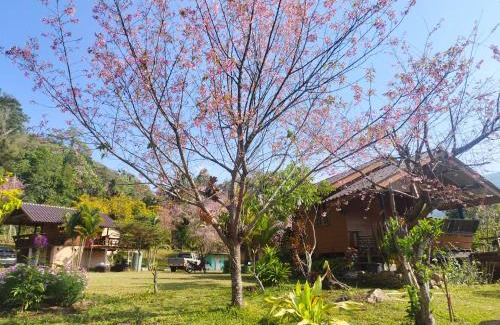 Ban Luang House | Rimna Banpark 4 ริมนาบ้านพัก4