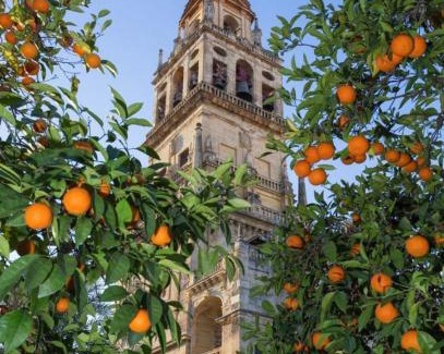 La Trinidad-San Juan y Todos los Santos Apartment | Rincón de San Nicolás Apartment