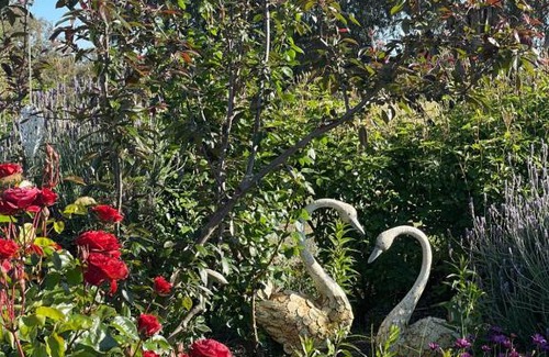 Axedale Bed & Breakfast | River Gardens Axedale Motel Room