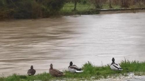 Longeville-en-Barrois Bed & Breakfast | Riverside