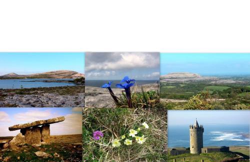 Kilfenora House | Roadside Cottage The Burren Kilfenora County Clare