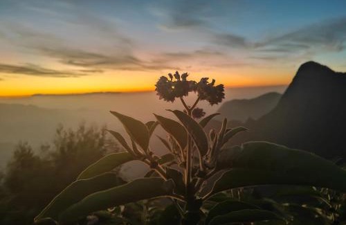 Suryanelli House | Rock Starzz Resort Munnar