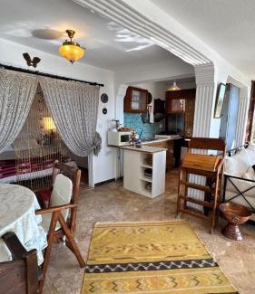 Kiyikislacik Apartment | Rodd's House İasos