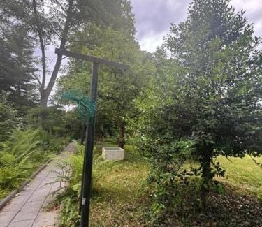 Roesrath Apartment | Roesrath Koeln Wohnung