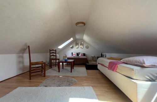 Roissy-en-France House | Roissy CDG, private room 4