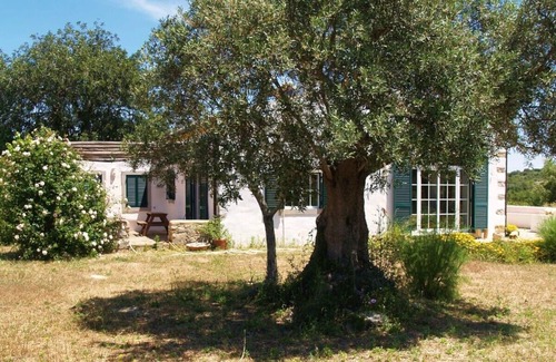 Fonte do Bispo House | Romantic farm house with great garden