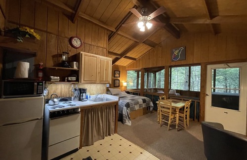 Victor Cabin | Romantic Get-away Cabin in the woods, w/Hottub next to coolest small town in USA