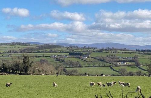 Grangecon Apartment | Romantic Hot Tub Retreat with Bar & Tapas Restaurant on-site