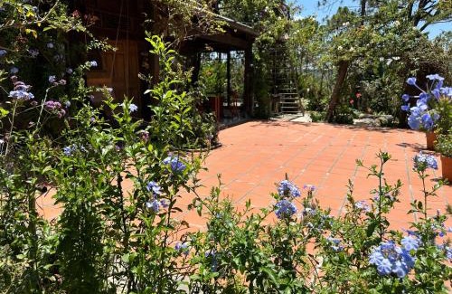 Da Lat Ski Chalet | Romantic house 2 on a pine hill Dalat