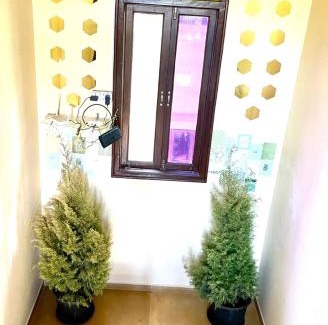 Nagoa Villa | Ronne's 3BHK MEADOWS VILLA