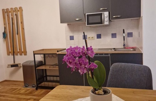 Winklern Apartment | Room 1 Kreuzeckblick - House Rupitsch