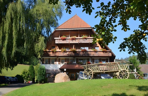 Ehlenbogen Apartment | Room '13' with Mountain View, Shared Terrace and Wi-Fi