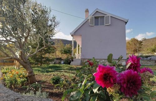 Civljane House | Rooms with a parking space Kijevo, Zagora - 22243