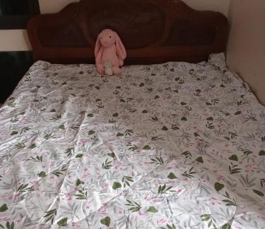 Bac Ninh Apartment | Rose house