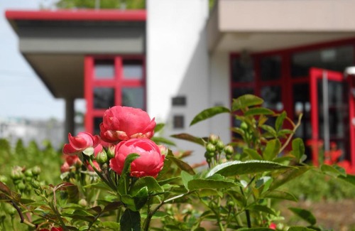 Sangerhausen Hotel | Rosen-Hotel