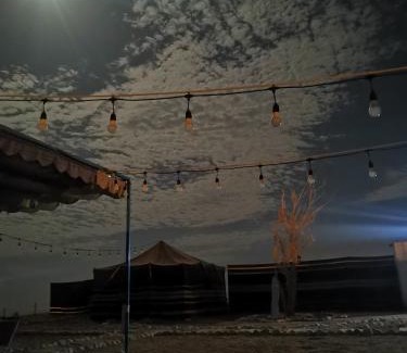 Ash Sharqiyah North Governorate Other | ROYAl FINS CAMP