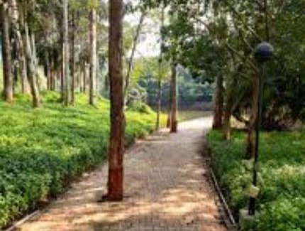 Pune Apartment | Royal Humming Bird